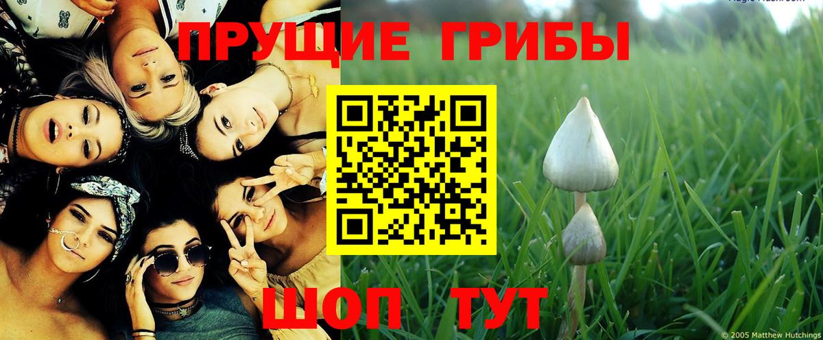 Галлюциногенные грибы ЛСД  Вход с VPN  Псилоцибиновые грибы MAGIC MUSHROOMS  Волжский 