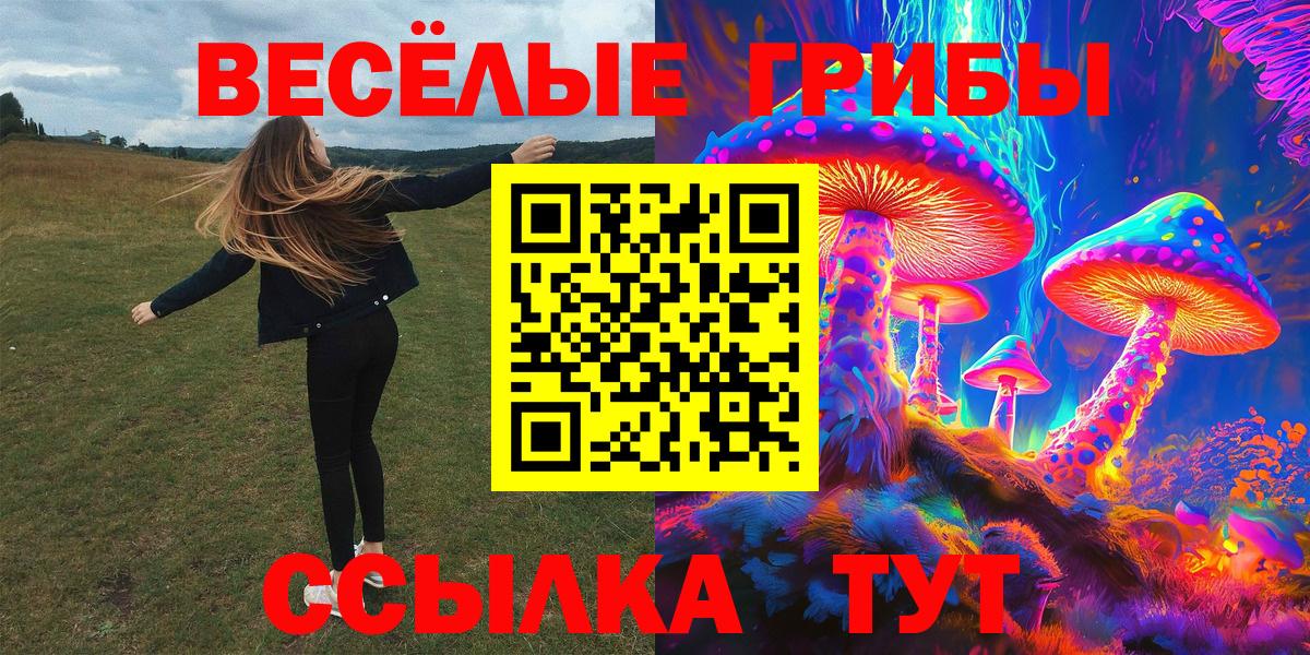 Галлюциногенные грибы Psilocybe Волжский